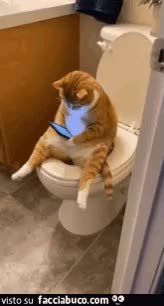 gif animata