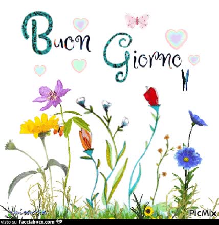 gif animata