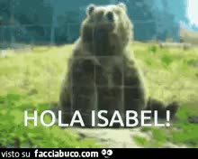 gif animata
