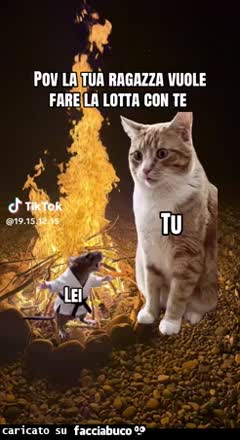 Gif Animata