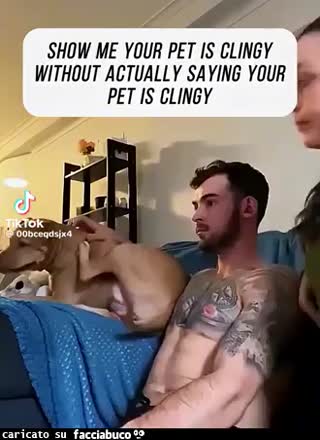 Gif Animata