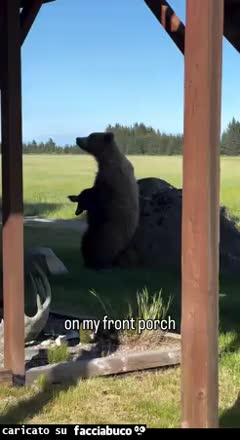 Gif Animata