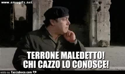 gif animata