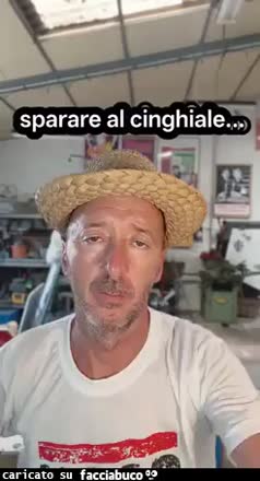 Gif Animata