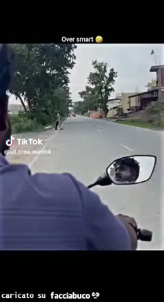 Gif Animata