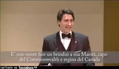gif animata