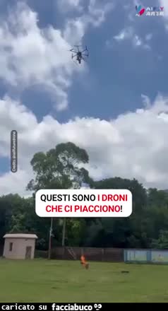 Drone