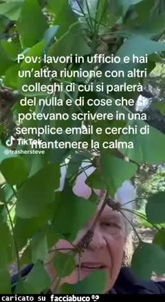 Lavori in ufficio e hai un'altra riunione con altri colleghi di cui si parlerà del nulla e di cose che potevano scrivere in una semplice mail e cerchi di mantenere la calma