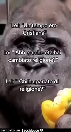Gif Animata
