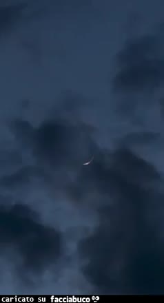 Gif Animata