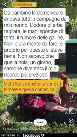 Gif Animata