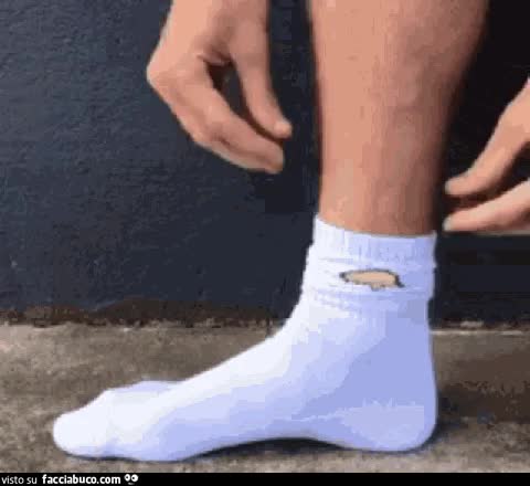 gif animata
