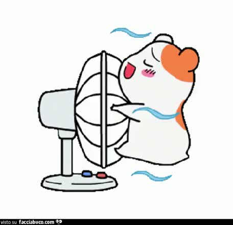 Gif Animata