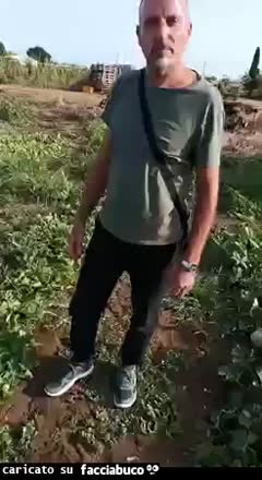 Gif Animata