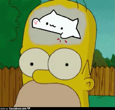 gif animata