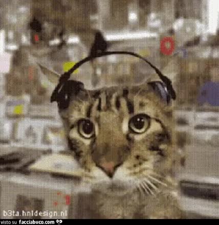 gif animata