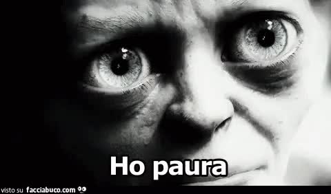 gif animata