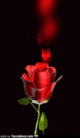 gif animata