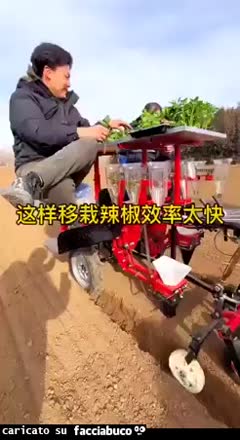 Gif Animata