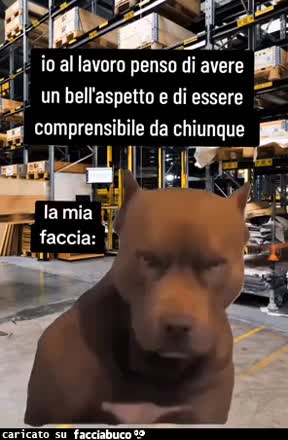 Gif Animata