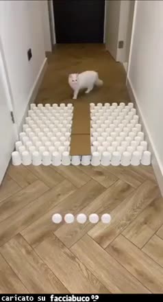Gif Animata