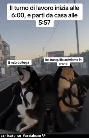 Gif Animata