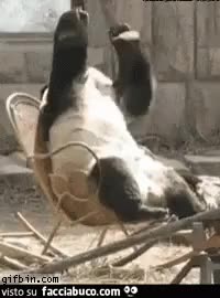 gif animata
