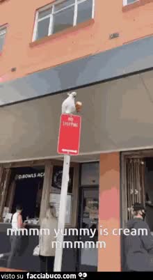 gif animata