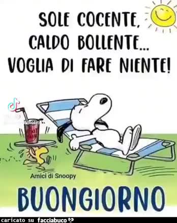 gif animata