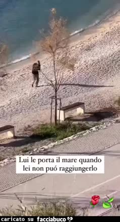 Gif Animata