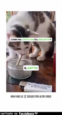 Gif Animata