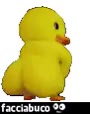 gif animata