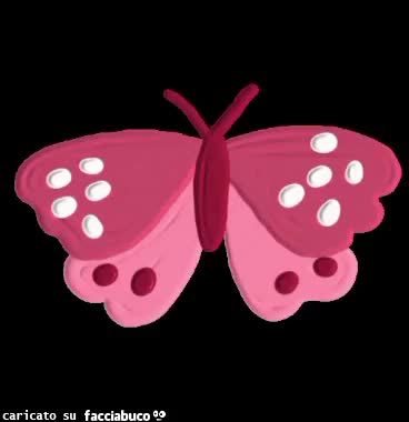 gif animata