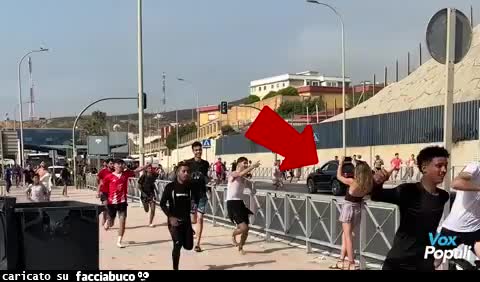 Gif Animata
