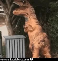 gif animata