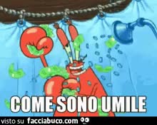 gif animata