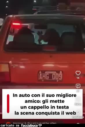 Gif Animata