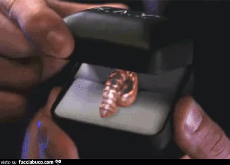 gif animata