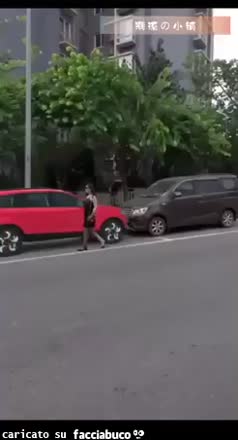 Gif Animata