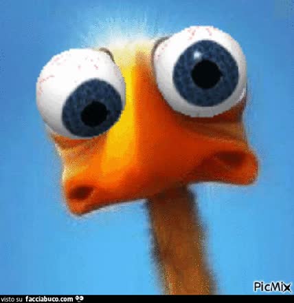 gif animata