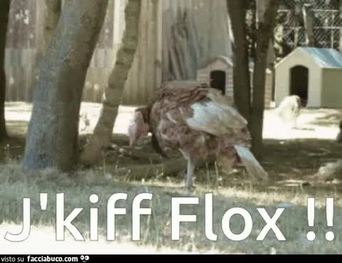 gif animata