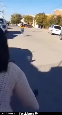 Gif Animata