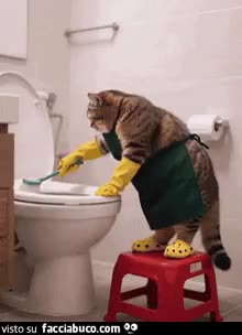 gif animata
