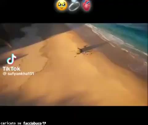 Gif Animata
