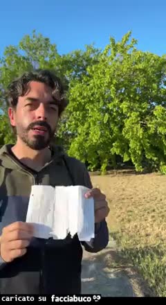Gif Animata