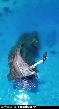 Gif Animata