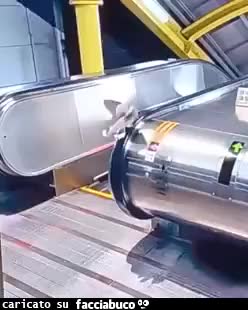 Gif Animata