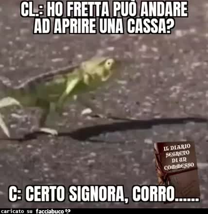 Gif Animata