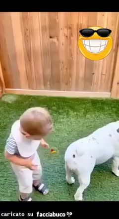 Gif Animata