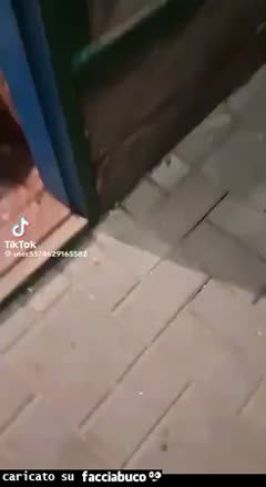 Gif Animata